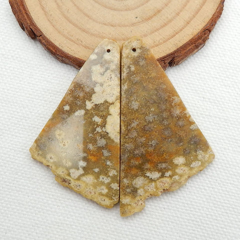 Nugget Perle de boucle d'oreille en corail fossile indonésien, 50 x 21 x 3 mm, 7 g