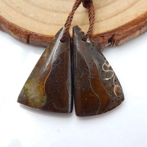 Natural Ammonite Fossil Earring Beads 25x13x5mm, 5.3g