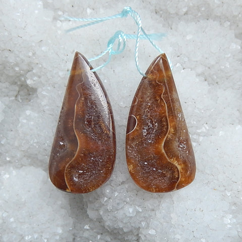 Natural Ammonite Fossil Earring Beads 34x14x5mm, 8.0g