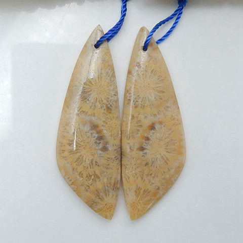 Paire de boucles d'oreilles en corail fossile indonésien naturel, pierre pour la fabrication de boucles d'oreilles, 35x13x4mm, 4.6g