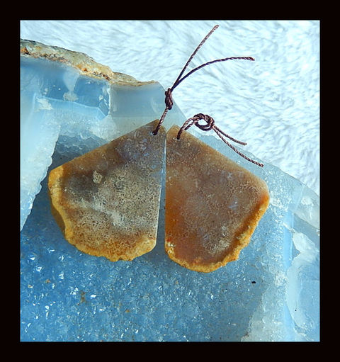 Nugget Perle de boucle d'oreille en corail fossile indonésien, 50 x 21 x 3 mm, 7 g
