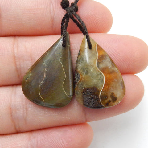 Natural Ammonite Fossil Earring Beads 25x13x5mm, 5.3g