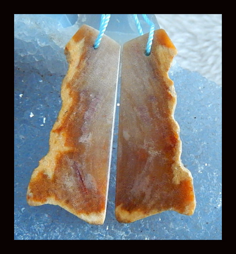 Nugget Perle de boucle d'oreille en corail fossile indonésien, 50 x 21 x 3 mm, 7 g