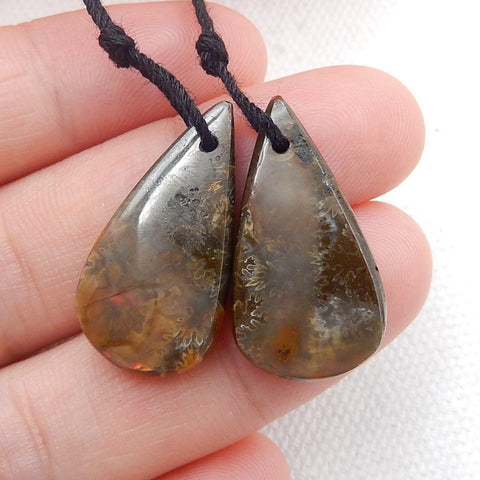 Natural Ammonite Fossil Earring Beads 25x13x5mm, 5.3g
