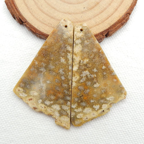 Nugget Perle de boucle d'oreille en corail fossile indonésien, 50 x 21 x 3 mm, 7 g