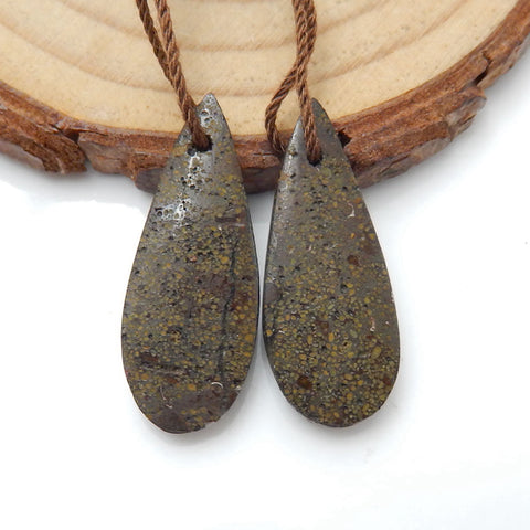 Natural Ammonite Fossil Earring Beads 25x13x5mm, 5.3g