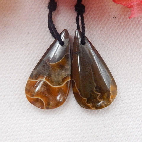 Natural Ammonite Fossil Earring Beads 25x13x5mm, 5.3g