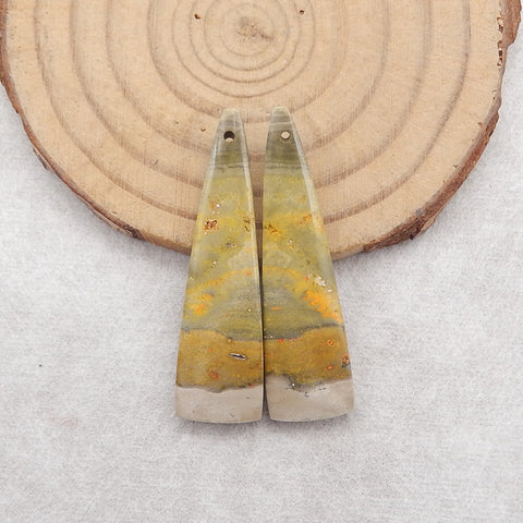 Natural Bumble Bee Stone Gemstone Earring Beads, Semi-Precious Gemstones For Jewelry Making,38×11×4mm,5g