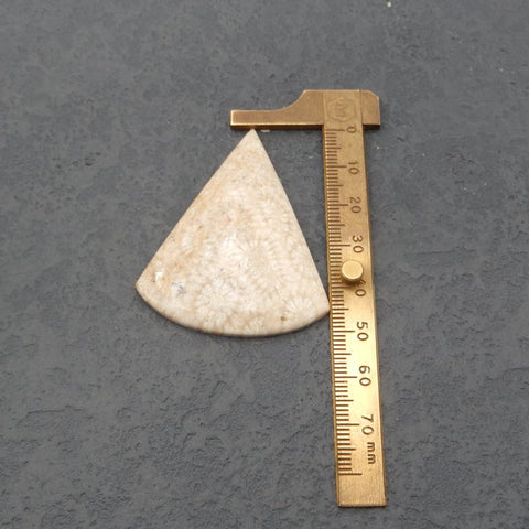 Natural Indonesian Coral Cabochon 52x41x6mm, 14.8g