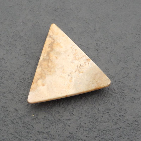 Cabochon Corail Indonésien 42x7mm,13.6g