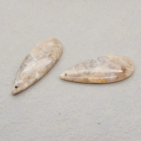 Natural Indonesian Coral Earring Beads,41x15x4mm, 8.0g