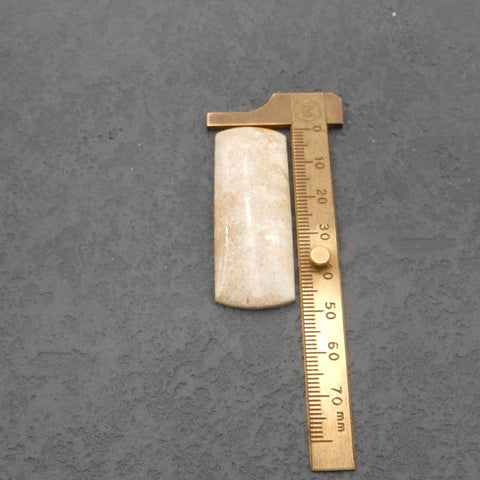 Natural Indonesian Coral Cabochon 50x19x5mm, 10g