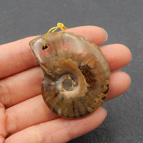 Natural Ammonite Fossil Pendant Bead 37*31*11mm, 18.1g
