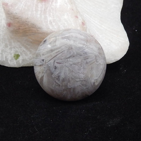 3 PCS Natural Bamboo Agate Cabochons 32x32x8mm, 14.7g