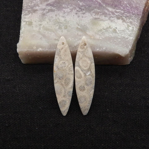 Natural Indonesian Coral Fossil Gemstone Earring Beads, 37x9x4mm, 3.6g