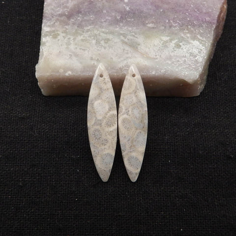 Natural Indonesian Coral Fossil Gemstone Earring Beads, 37x9x4mm, 3.6g