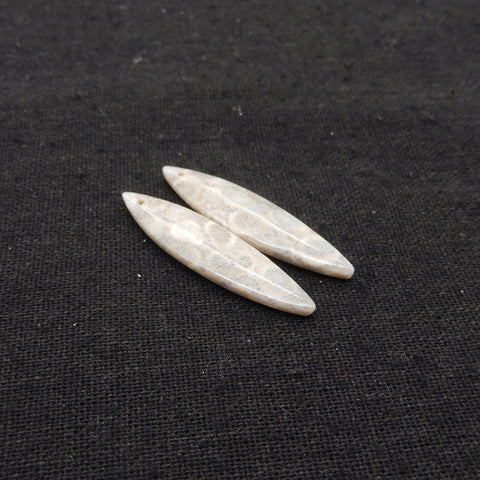 Natural Indonesian Coral Fossil Gemstone Earring Beads, 37x9x4mm, 3.6g