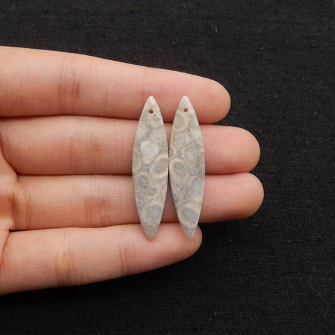 Natural Indonesian Coral Fossil Gemstone Earring Beads, 37x9x4mm, 3.6g