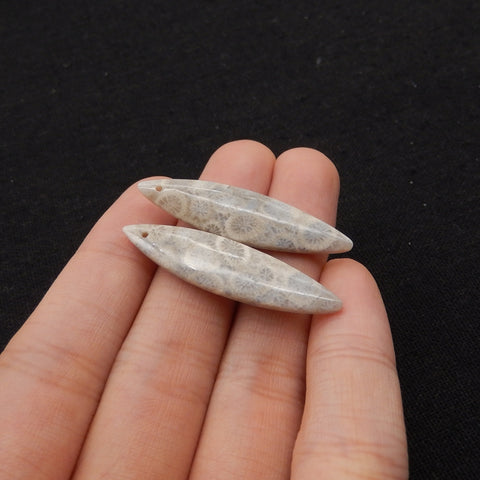 Natural Indonesian Coral Fossil Gemstone Earring Beads, 37x9x4mm, 3.6g