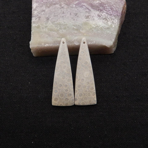 Natural Indonesian Coral Fossil Gemstone Earring Beads, 42x14x4mm, 7.3g