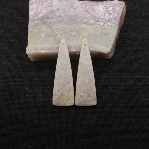 Natural Indonesian Coral Fossil Gemstone Earring Beads, 42x14x4mm, 7.3g