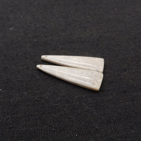 Natural Indonesian Coral Fossil Gemstone Earring Beads, 42x14x4mm, 7.3g