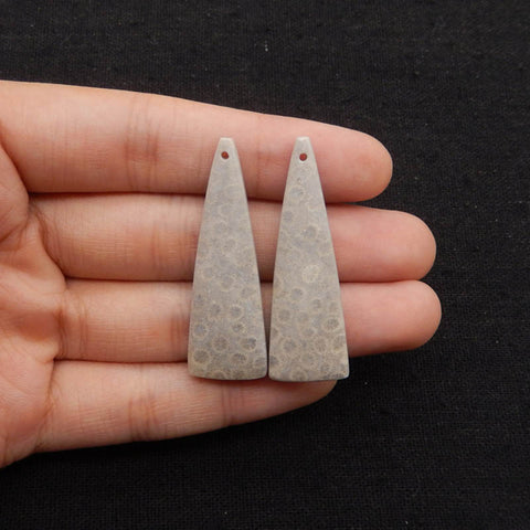 Natural Indonesian Coral Fossil Gemstone Earring Beads, 42x14x4mm, 7.3g