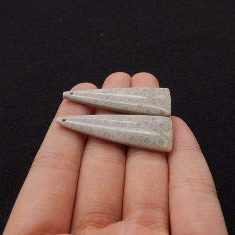 Natural Indonesian Coral Fossil Gemstone Earring Beads, 42x14x4mm, 7.3g