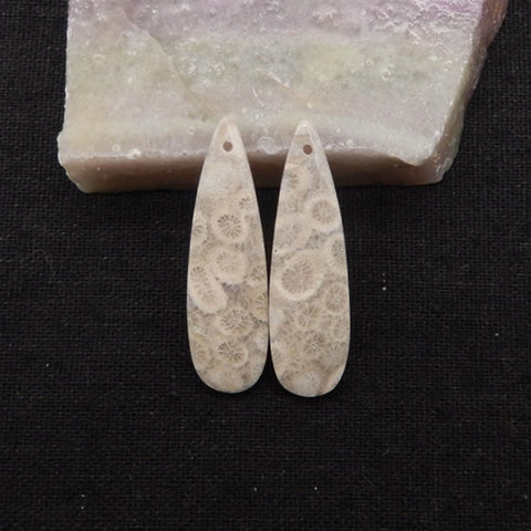 Natural Indonesian Coral Fossil Gemstone Earring Beads, 40x12x4mm, 5.3g
