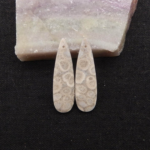 Natural Indonesian Coral Fossil Gemstone Earring Beads, 40x12x4mm, 5.3g