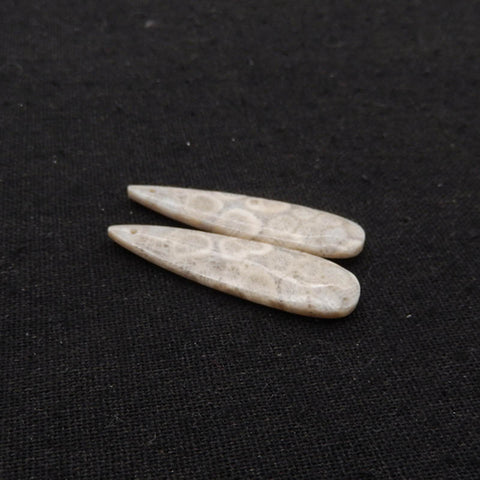 Natural Indonesian Coral Fossil Gemstone Earring Beads, 40x12x4mm, 5.3g