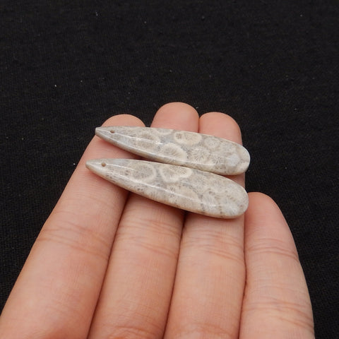 Natural Indonesian Coral Fossil Gemstone Earring Beads, 40x12x4mm, 5.3g