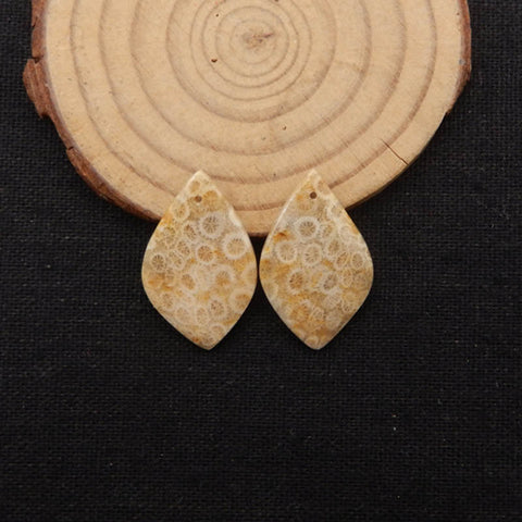 Natural Indonesian Coral Fossil Gemstone Earring Beads, 27x17x3mm, 4.6g