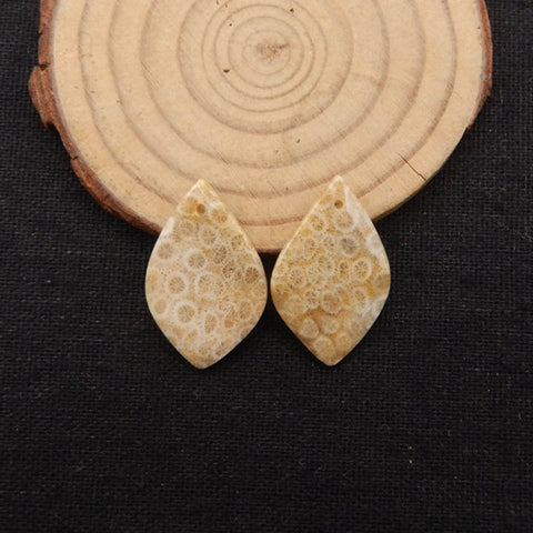 Natural Indonesian Coral Fossil Gemstone Earring Beads, 27x17x3mm, 4.6g