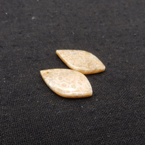 Natural Indonesian Coral Fossil Gemstone Earring Beads, 27x17x3mm, 4.6g