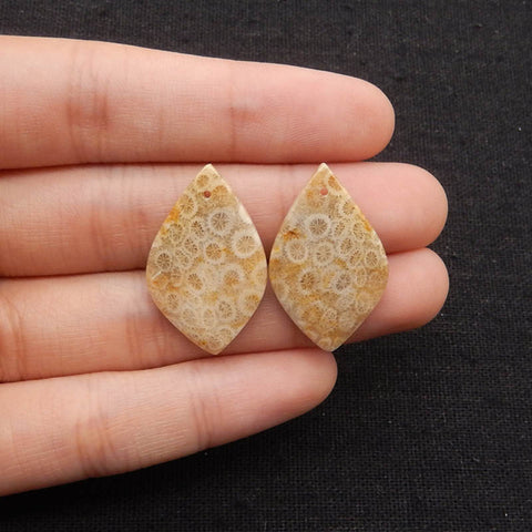 Natural Indonesian Coral Fossil Gemstone Earring Beads, 27x17x3mm, 4.6g