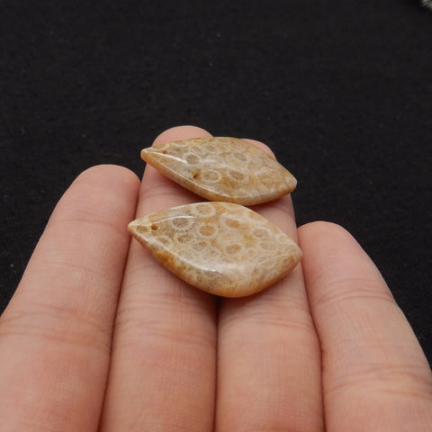 Natural Indonesian Coral Fossil Gemstone Earring Beads, 27x17x3mm, 4.6g