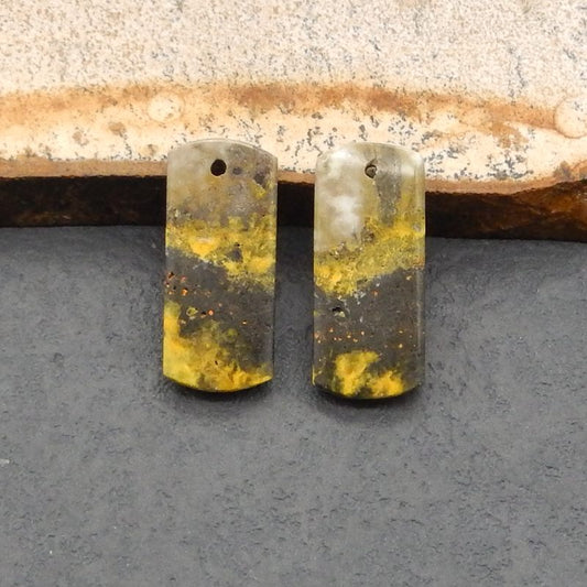 Natural Bumblebee Jasper Earring Beads 23*10*3mm, 3.4g