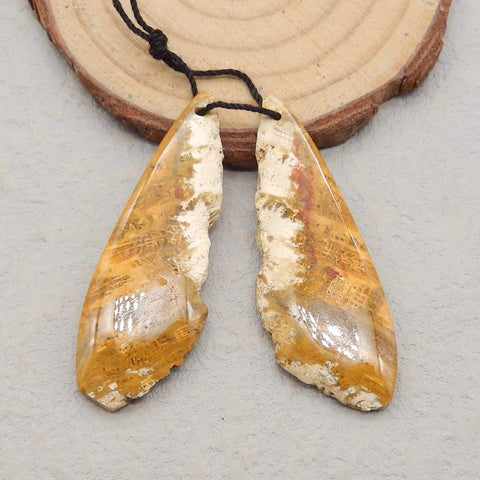 Nugget Perle de boucle d'oreille en corail fossile indonésien, 50 x 21 x 3 mm, 7 g
