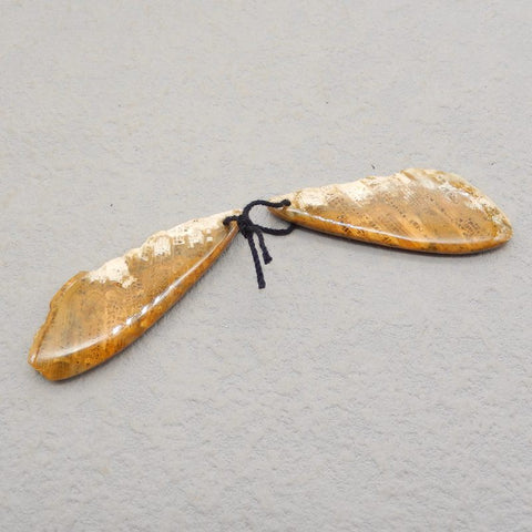Nugget Perle de boucle d'oreille en corail fossile indonésien, 50 x 21 x 3 mm, 7 g