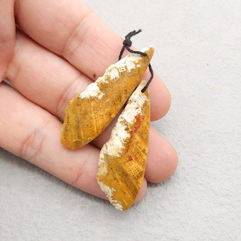 Nugget Perle de boucle d'oreille en corail fossile indonésien, 50 x 21 x 3 mm, 7 g