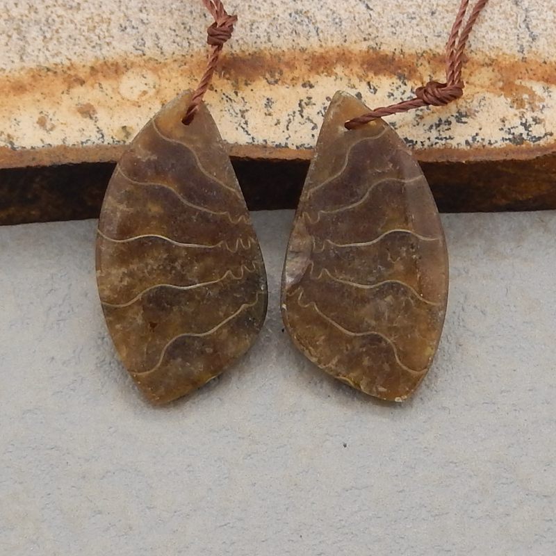 Natural Ammonite Fossil Earring Beads 24*13*3mm, 3.4g