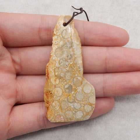 Nugget (Rough Sides) Natural Indonesian Fossil Coral Gemstone Pendant Bead,62x30x7mm, 17g