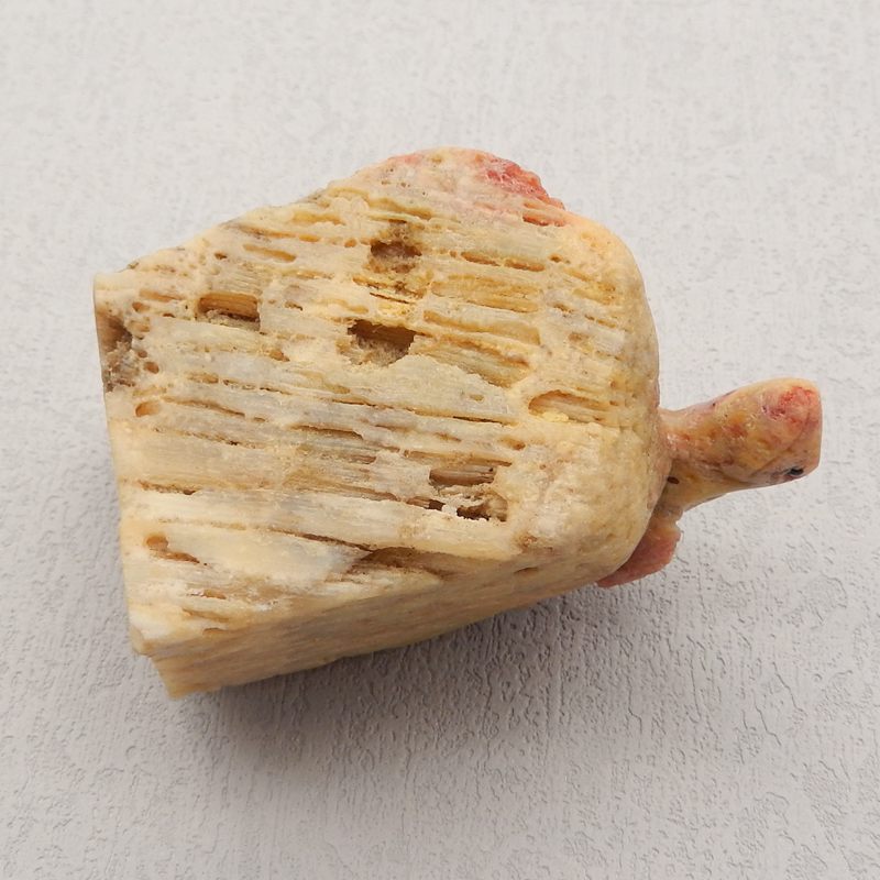 Natural Coral Carved lizard 64x41x39mm, 156.5g
