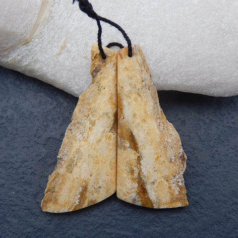 Nugget Perle de boucle d'oreille en corail fossile indonésien, 50 x 21 x 3 mm, 7 g