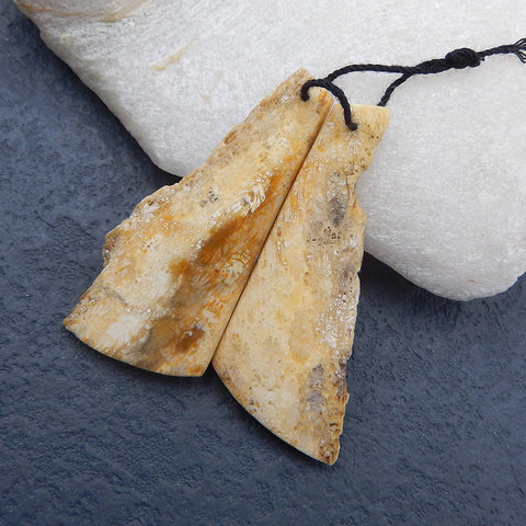 Nugget Perle de boucle d'oreille en corail fossile indonésien, 50 x 21 x 3 mm, 7 g