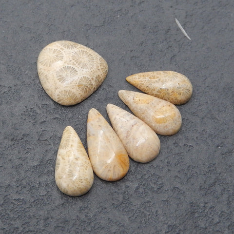 6 PCS Natural Indonesian Coral Cabochons,Drilled Flatback Pendant, Handmade Jewelry,15x3mm,14x7x3mm, 3.5g