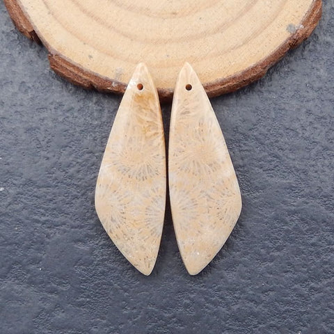 Paire de boucles d'oreilles en corail fossile indonésien naturel, pierre pour la fabrication de boucles d'oreilles, 35x13x4mm, 4.6g