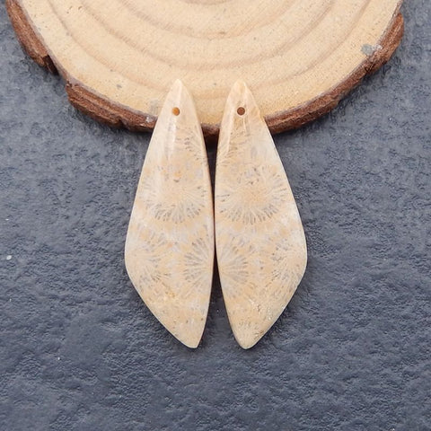 Paire de boucles d'oreilles en corail fossile indonésien naturel, pierre pour la fabrication de boucles d'oreilles, 35x13x4mm, 4.6g