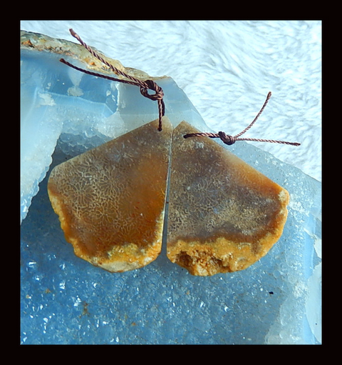 Nugget Perle de boucle d'oreille en corail fossile indonésien, 50 x 21 x 3 mm, 7 g